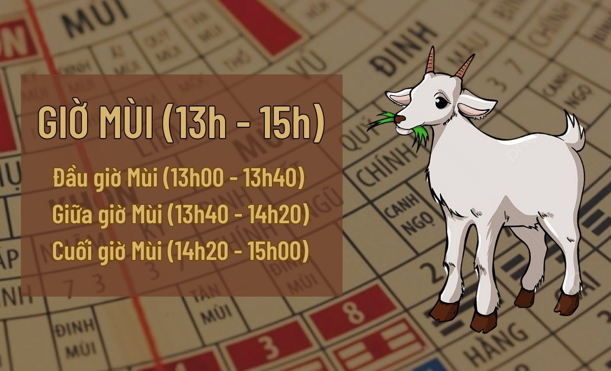 Giờ Mùi là mấy giờ? Chọn đồng hồ hợp can chi người sinh giờ Mùi 1 giờ Mùi