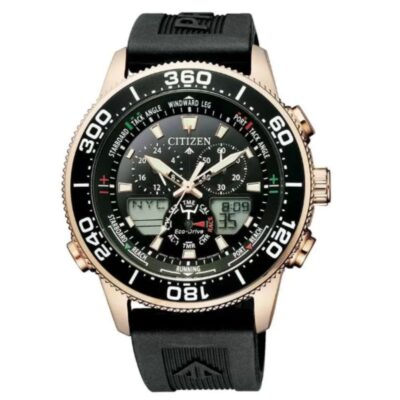 Đồng hồ Citizen 44mm Nam JR4063-12E chính hãng Ảnh sản phẩm Citizen 44mm Nam JR4063-12E
