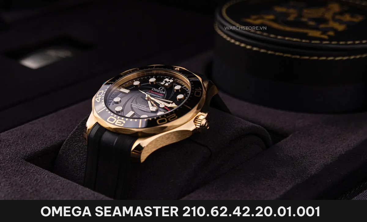 mau dong ho lan omega seamaster 210 62 42 20 01 001