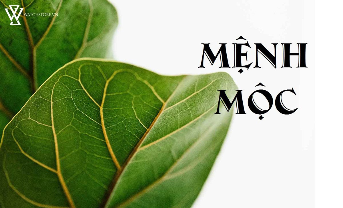 Mệnh Mộc đeo đồng hồ màu gì? Mọi thứ cần biết - Ảnh 1