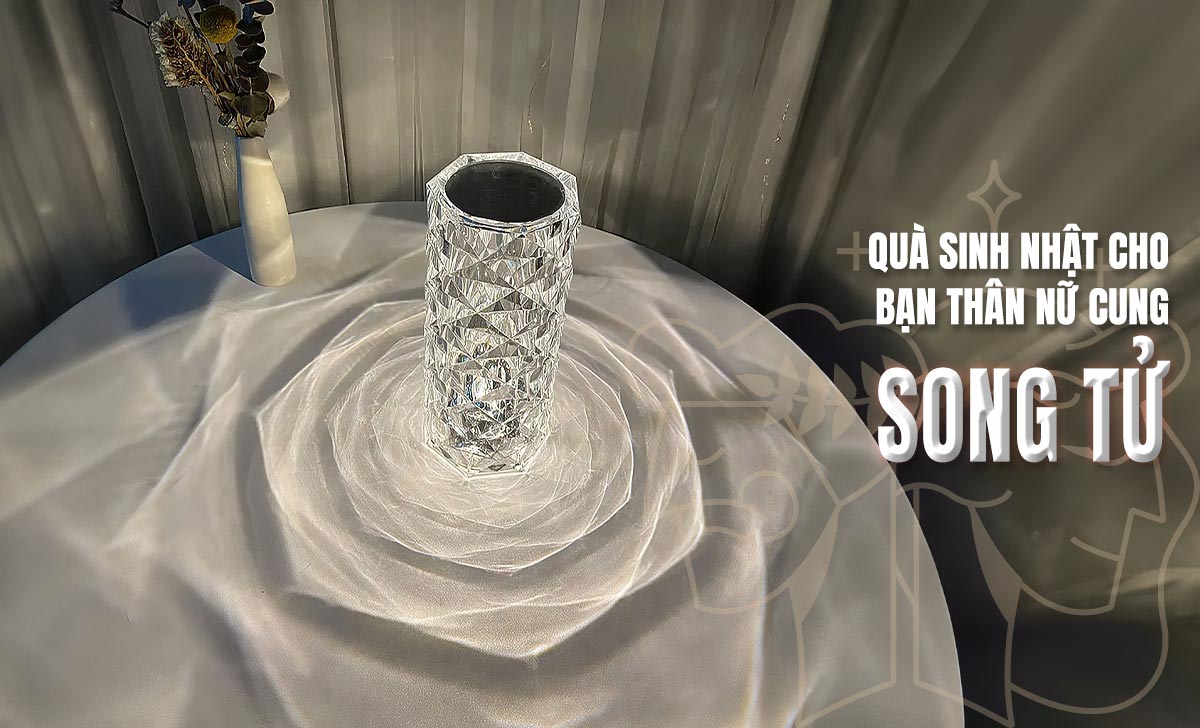 Tặng quà sinh nhật cho bạn thân nữ 12 cung hoàng đạo 3 Tặng quà sinh nhật cho bạn thân nữ cung Song Tử