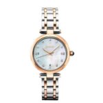 Seiko 30mm Nữ SRZ534P1 - Ảnh 1