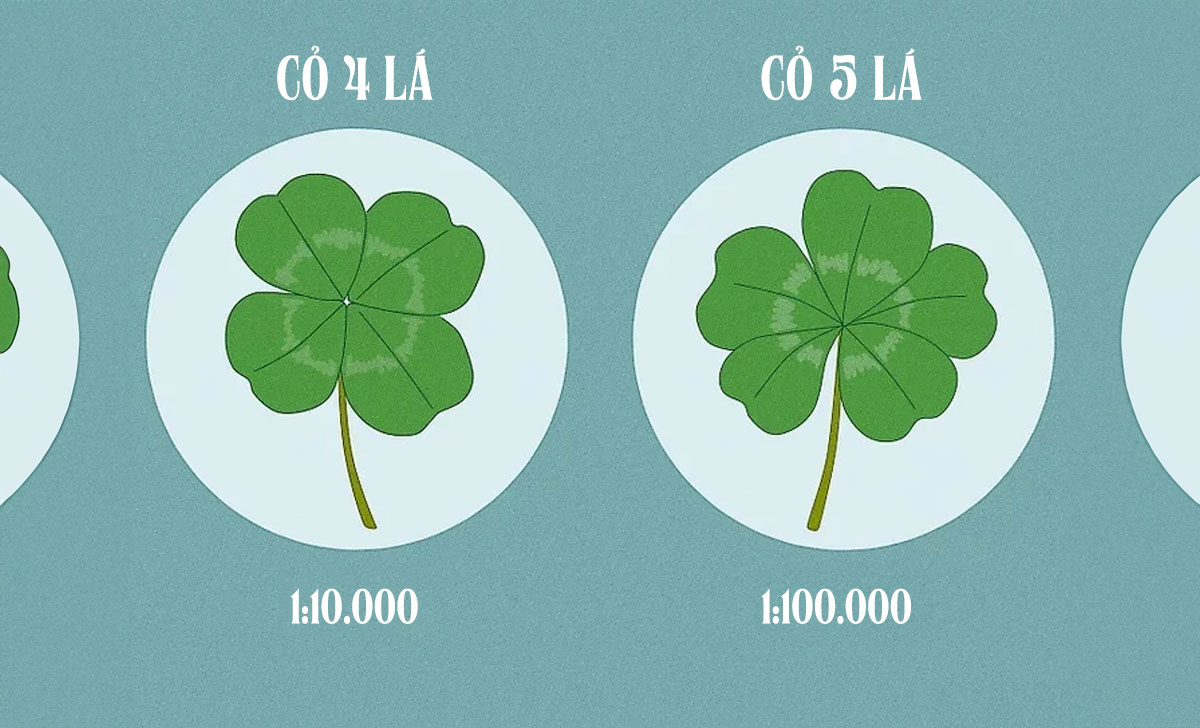 Ý nghĩa cỏ 5 lá hiếm có và những mẫu đồng hồ 5 lá cực ấn tượng 2 y nghia co 5 la 2