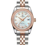 Carnival 32mm Nữ 8131L2-CH-TK - Ảnh 1