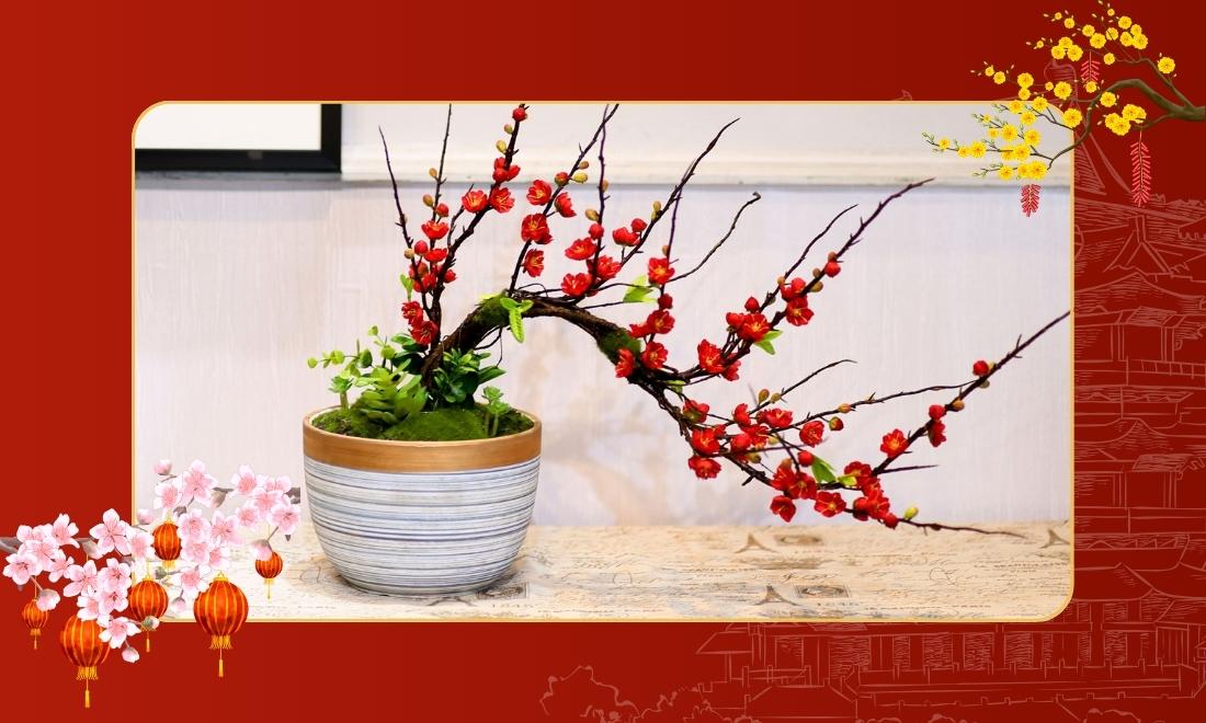 Gợi ý 15+ món quà Tết 2026 ý nghĩa & sang trọng cho mọi đối tượng 4 Cây cảnh mini