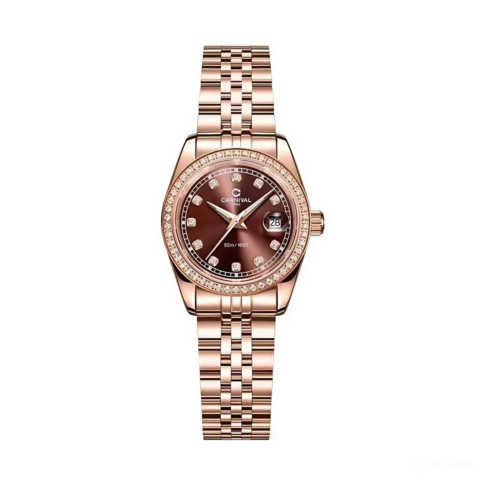 Carnival 32mm Nữ 8131L2-VH-N