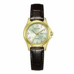 Citizen 27.5mm Nữ EQ0612-07A - Ảnh 1