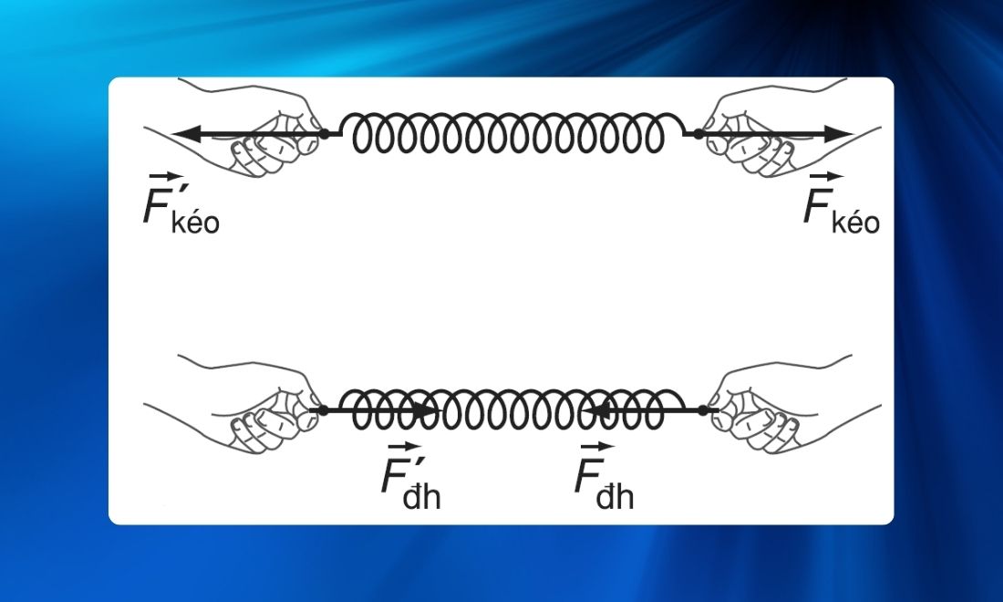 Tìm hiểu lực đàn hồi: Đặc điểm, công thức, ứng dụng thực tế 7 Phương và chiều của lực đàn hồi