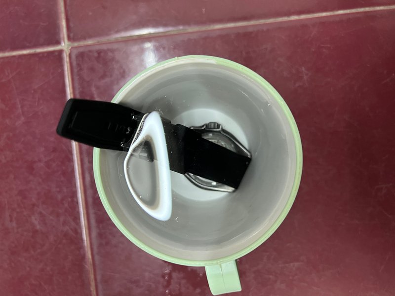 1211c1e5 B244 46e0 9d55 6f201f5951c8 1713253088